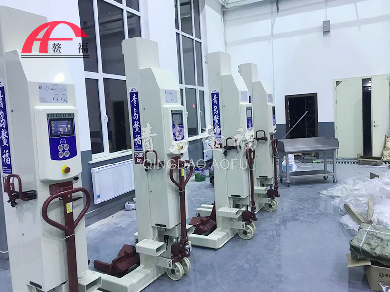 30噸四柱液壓抱胎舉升機案例