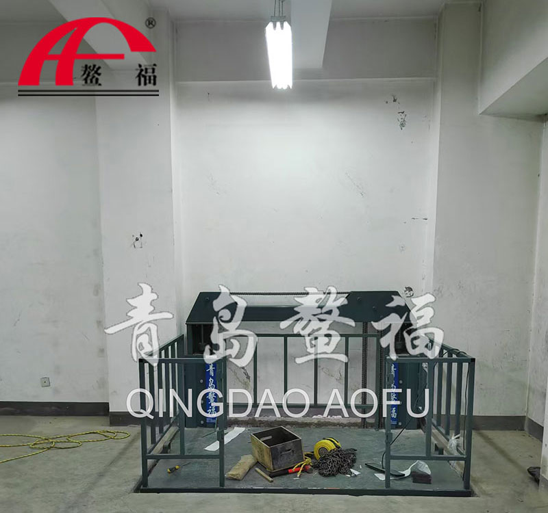 鰲福雙柱小貨梯